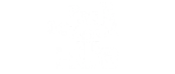 pres school hub